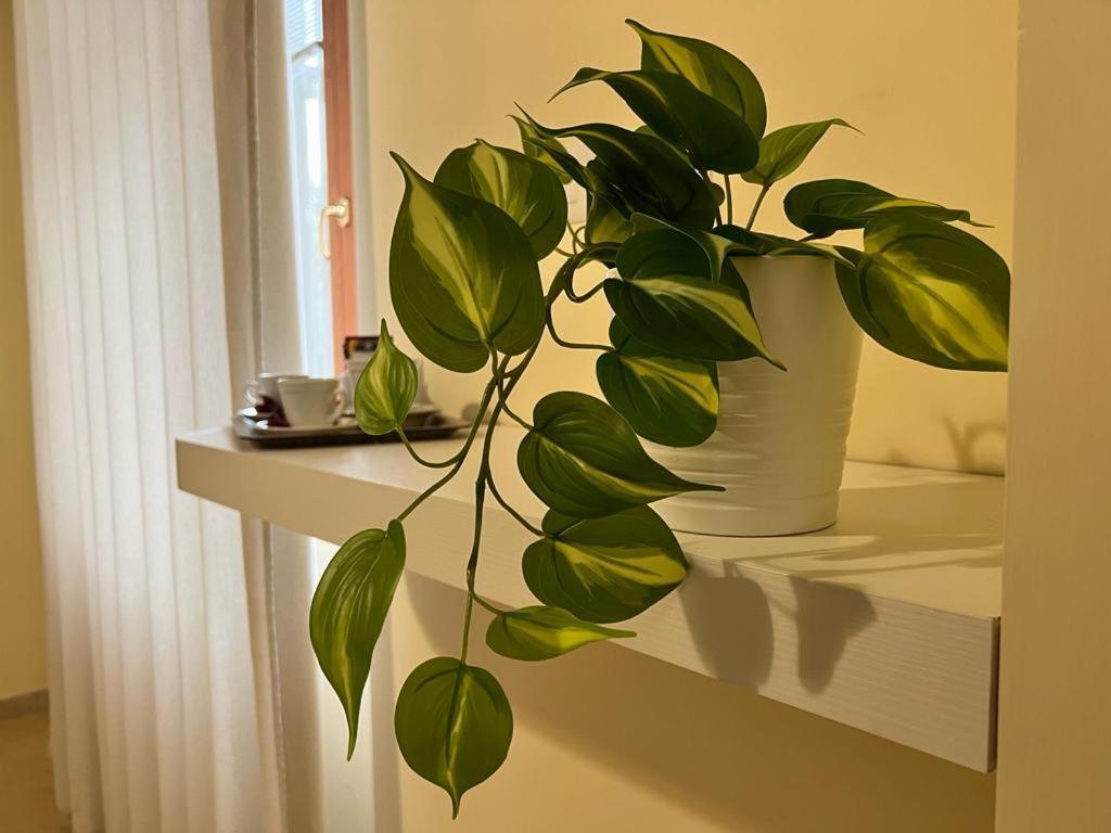 Pompei Royal Suite Ngoại thất bức ảnh